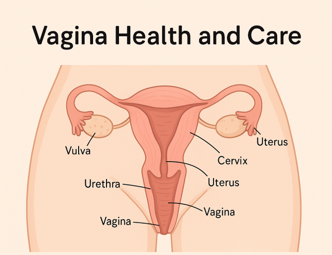 Vagina Health and Care